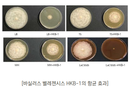 천연 부산물 재활용을 통한 식물병 방제 조성물
